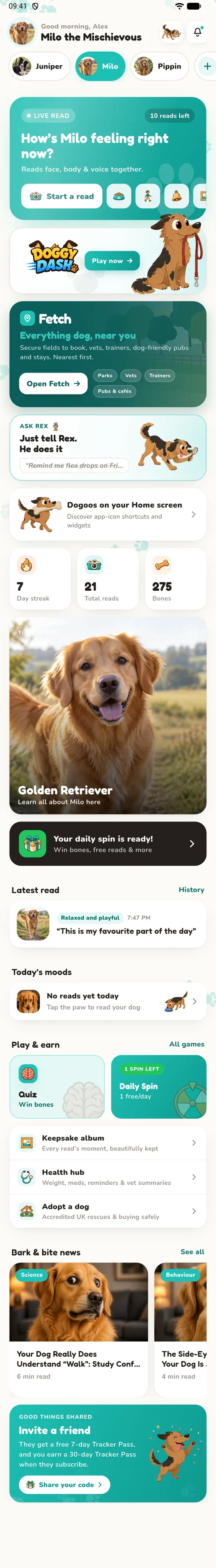 The Dogoos home screen: the dog picker, a live read card, Doggy Dash, Fetch, Ask Rex and the day's numbers