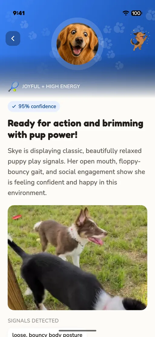 Sample screen: a finished mood read with the dog's photo and what was spotted