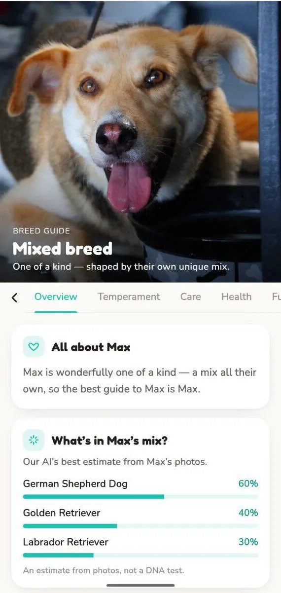 Breed guide showing Max's likely mix